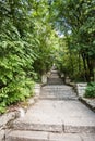 Stone stairs of the Madara national historical archeological reserve